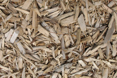 biomass boilers Roster